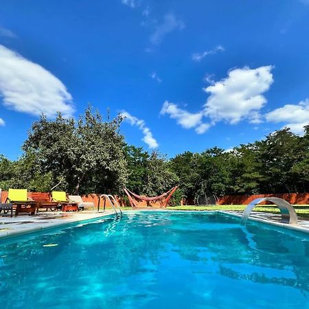 Horace Guesthouse Pool & Hot Tub & Bikes & River Dejani Dış mekan fotoğraf