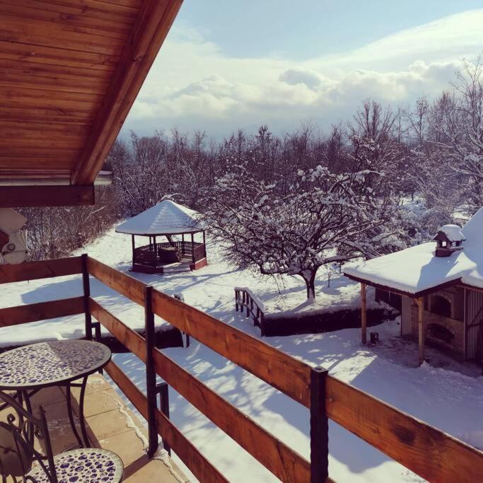 Horace Guesthouse Pool & Hot Tub & Bikes & River Dejani Dış mekan fotoğraf
