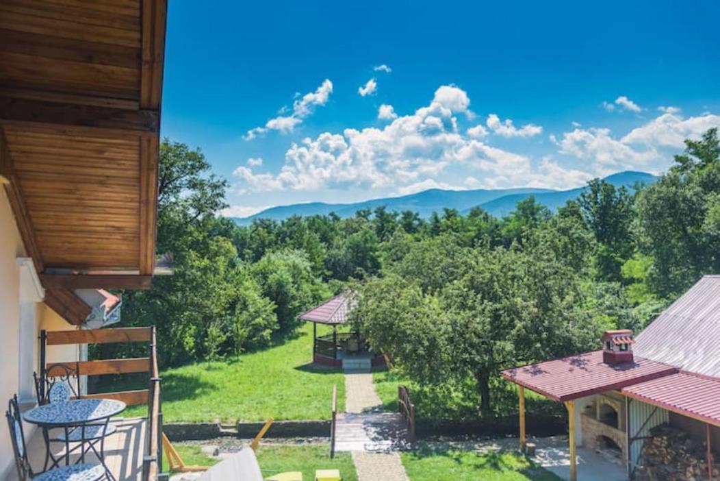 Horace Guesthouse Pool & Hot Tub & Bikes & River Dejani Dış mekan fotoğraf