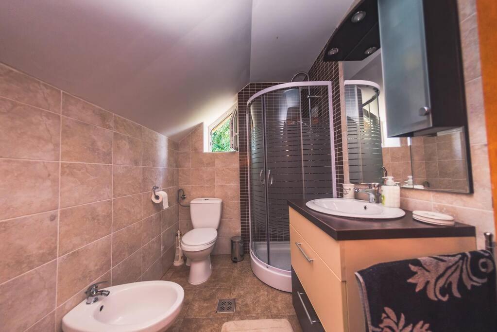 Horace Guesthouse Pool & Hot Tub & Bikes & River Dejani Dış mekan fotoğraf