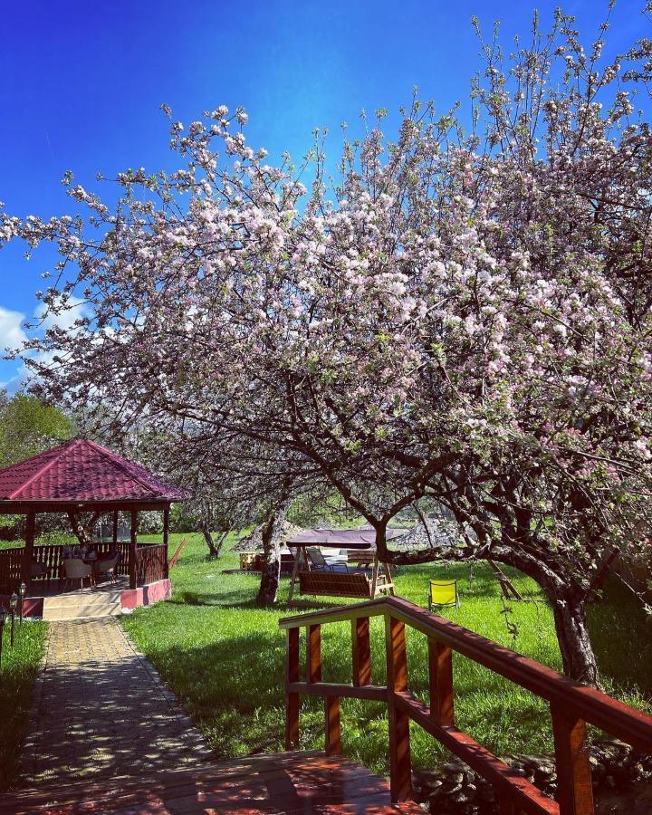 Horace Guesthouse Pool & Hot Tub & Bikes & River Dejani Dış mekan fotoğraf