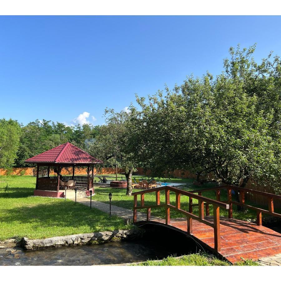 Horace Guesthouse Pool & Hot Tub & Bikes & River Dejani Dış mekan fotoğraf